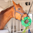 PetKORE Luna Ring: The Ultimate Treat Puzzle for Horses