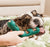 WOOF Bite n' Brush Refills for Dogs
