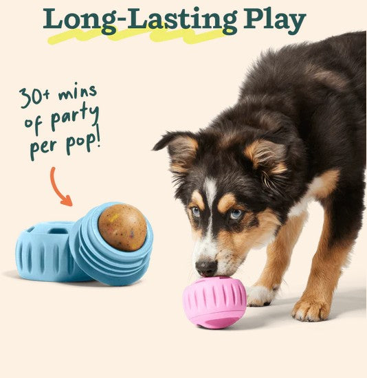 WOOF Pupcicle Birthday Pops for Dogs