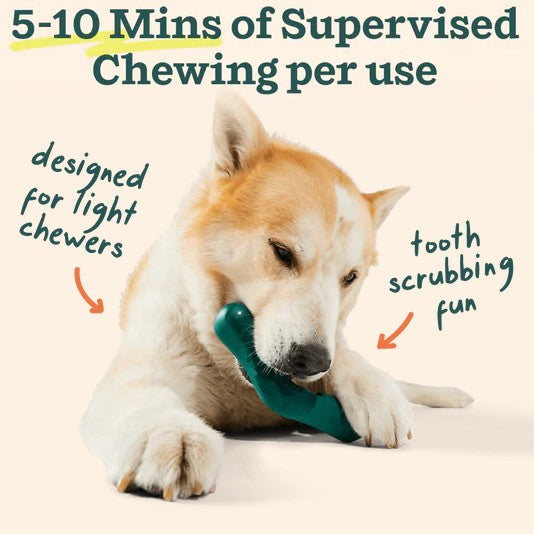 WOOF The Bite n' Brush for Dogs
