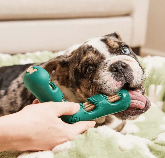 WOOF The Bite n' Brush for Dogs