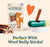 WOOF The BullySafe for Dogs