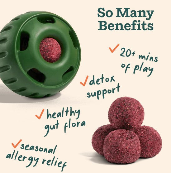 WOOF Pupsicle Allergy & Immunity Pops for Dogs