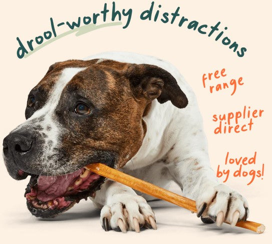 WOOF Free Range Bullysafe Bully Sticks, 12" 5pk
