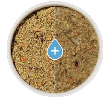 The Honest Kitchen Dehydrated Grain Free Beef Dog Food, 2lb box