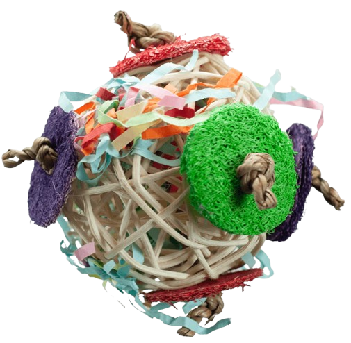 Circle Chaser Toy for Small Animals