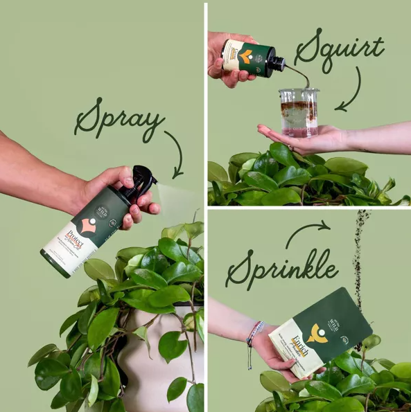 Houseplant Care Essential Kit With Organic Growth Solutions