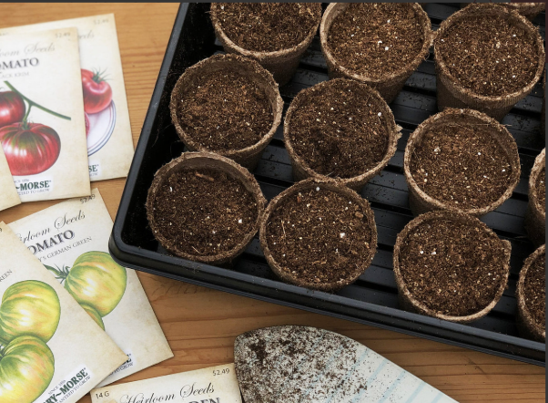 Seed Starting Tray 11in x 22in