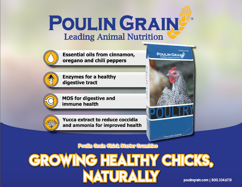 Poulin Grain Turkey/Gamebird Starter Crumbles