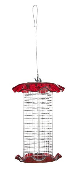 Small Sunflower Seed Forever Feeder with Stainless Steel Screen in Red