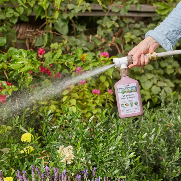 Arber Organic Fungicide for Rose & Flower, 16oz Ready-To-Spray Hose End