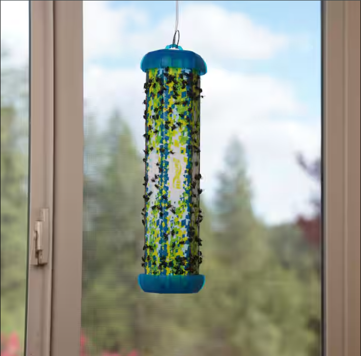 TrapStik for Flies