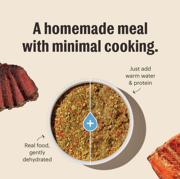 The Honest Kitchen Wholemade Grain Free Veggie, Nut & Seed Base Mix Dehydrated Dog Food, 7lb box