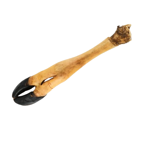Dogginstix Beef Feet Dog Chew
