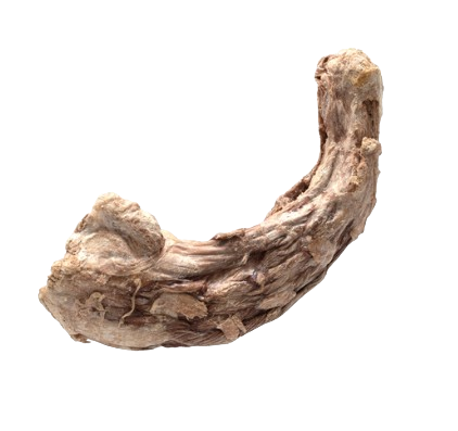 Bones & Co. Freeze Dried Turkey Deck Dog Treats