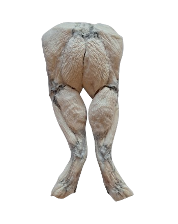 Bones & Co. Freeze Dried Frog Legs Dog Treats