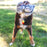KONG Toughz Bunny, Medium Dog Toy