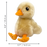 KONG Toughz Duck, Medium Dog Toy