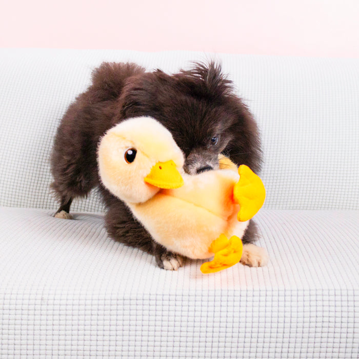 KONG Toughz Duck, Medium Dog Toy