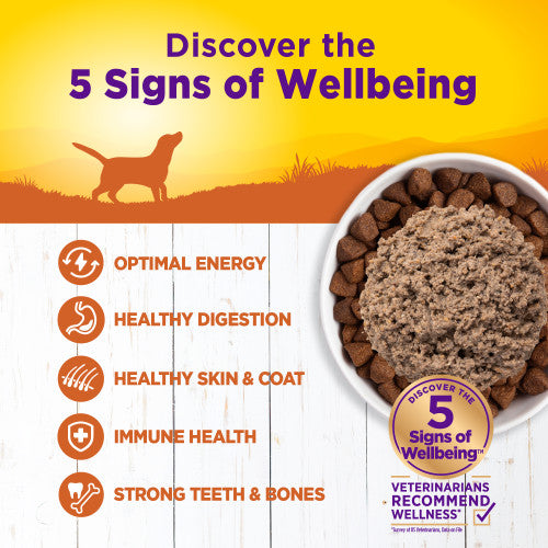 Wellness Complete Health Natural Turkey and Sweet Potato Recipe Wet Canned Dog Food