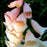 Foxglove, Dalmatian Peach Foxglove