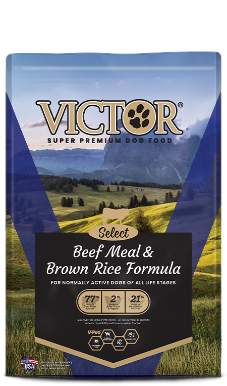 Victor Beef Meal & Brown Rice Formula Dry Dog Food
