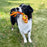 KONG KONG Ballistic High Viz Wubba, Large Dog Toy