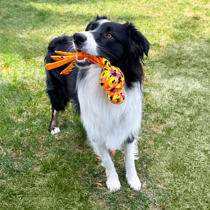 KONG KONG Ballistic High Viz Wubba, Large Dog Toy