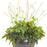 Foamflower, Cutting Edge Foamflower