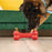KONG Ziggies 2.0 Adult Dog Treats, 8oz