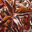 Dogwood, Huron® Dogwood
