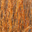 Grass, Broomsedge, Yellow Bluestem