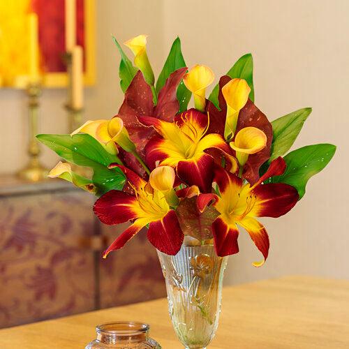 Daylily, Rainbow Rhythm® Ruby Spider Daylily