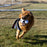 KONG WUBBA SPORT SOCCER BALL