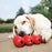 KONG Goodie Ribbon Dog Toy for Treats, Small