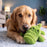 KONG Cozie™ Ali Alligator Dog Toy, Medium