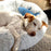 Cuddle Donut Pet Bed, Frosted Grey