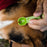 TickCheck Tick Remover Spoon 3 Pack