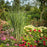 Grass, Prairie Winds® Totem Pole Switch Grass