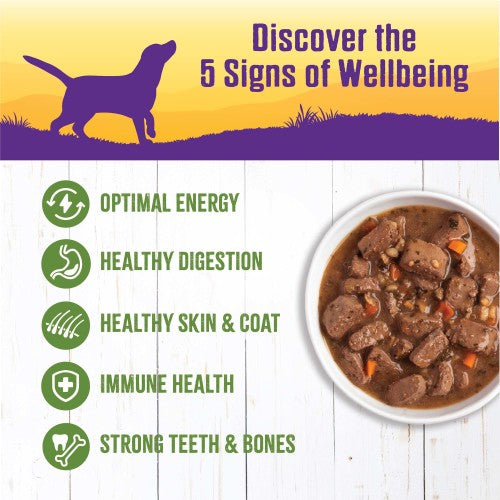Wellness Natural Lamb and Beef Stew with Brown Rice and Apples Wet Canned Dog Food