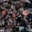 Ninebark, Bloomin' Easy® Panther Ninebark