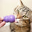 KONG Kitty Kong Cat Toy & Treat Dispenser