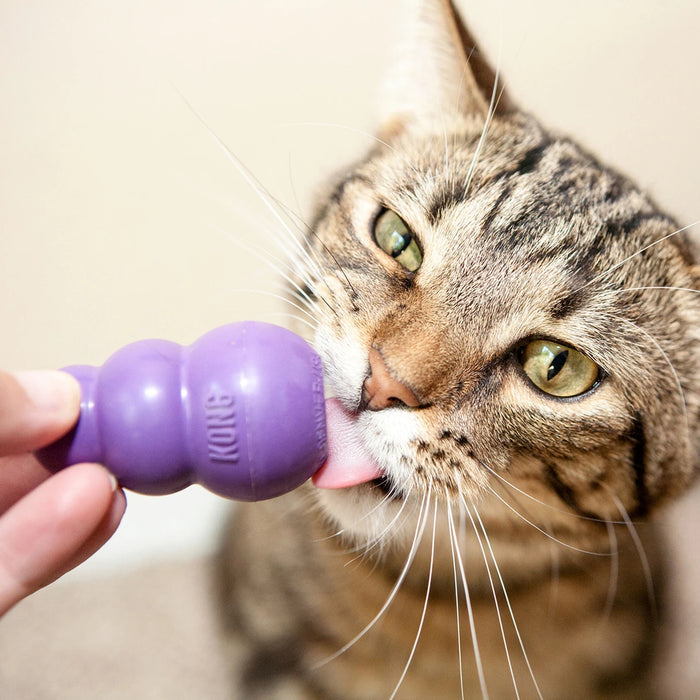 KONG Kitty Kong Cat Toy & Treat Dispenser