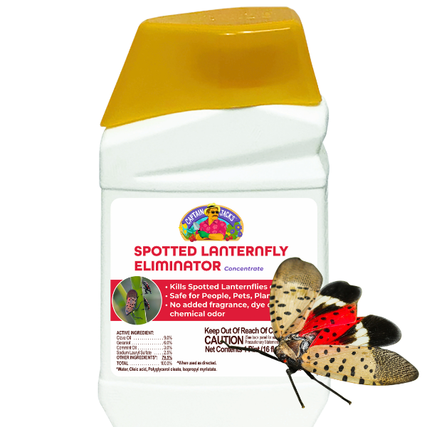 Captain Jack’s Spotted Lanternfly Eliminator Concentrate, 16oz