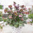 Hellebore, FrostKiss™ Dana's Dulcet® Lenten Rose