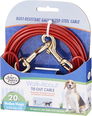 Medium Weight Tie Out Cable, 20-ft