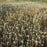 Yarrow, Common Yarrow