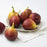Fig, Italian Everbearing Fig