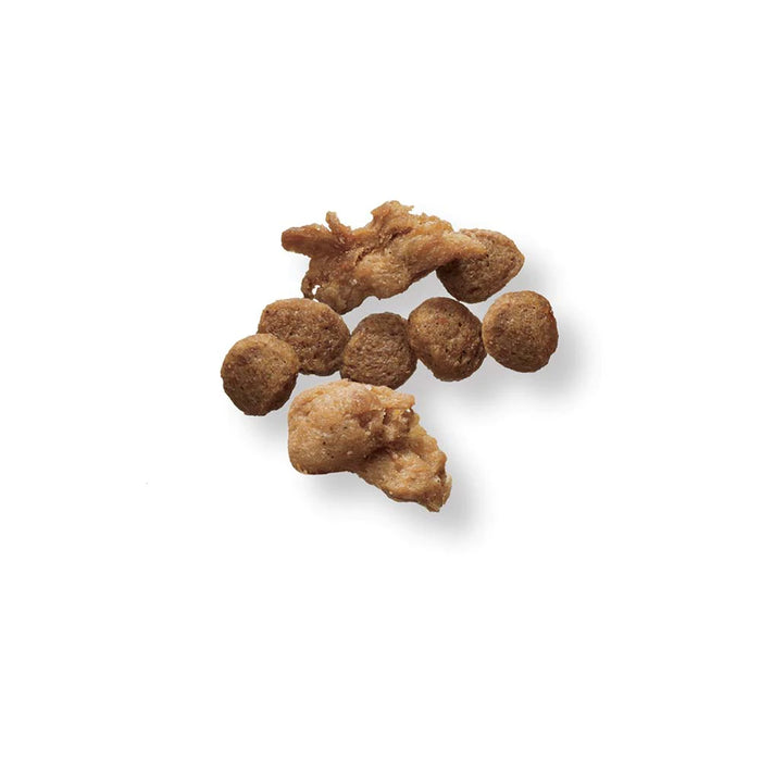 Purina Pro Plan Small Breed Shredded Blend Beef & Rice Dog Food, 6lb