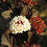Ninebark, Summer Wine® Ninebark